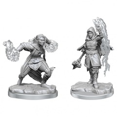 Nolzur's Marvelous Miniatures - Hale-Elf Warlock (W20)